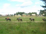 конные прогулки