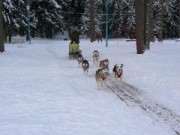 развлечения